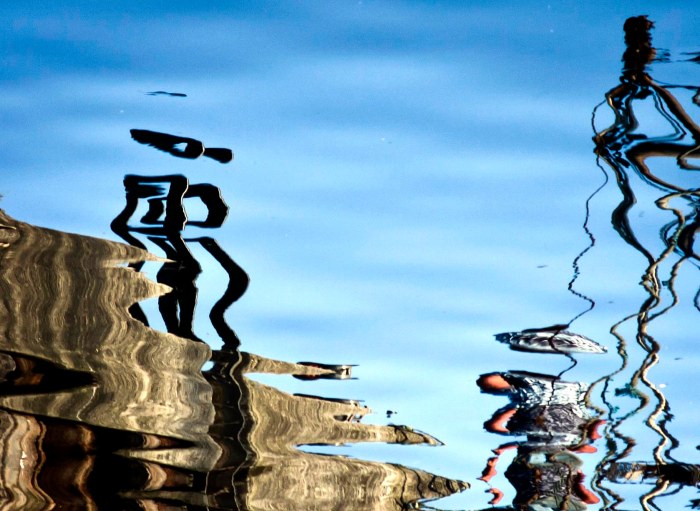 My Friend, the Robot