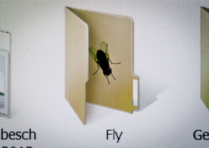 A Fly's own Folder