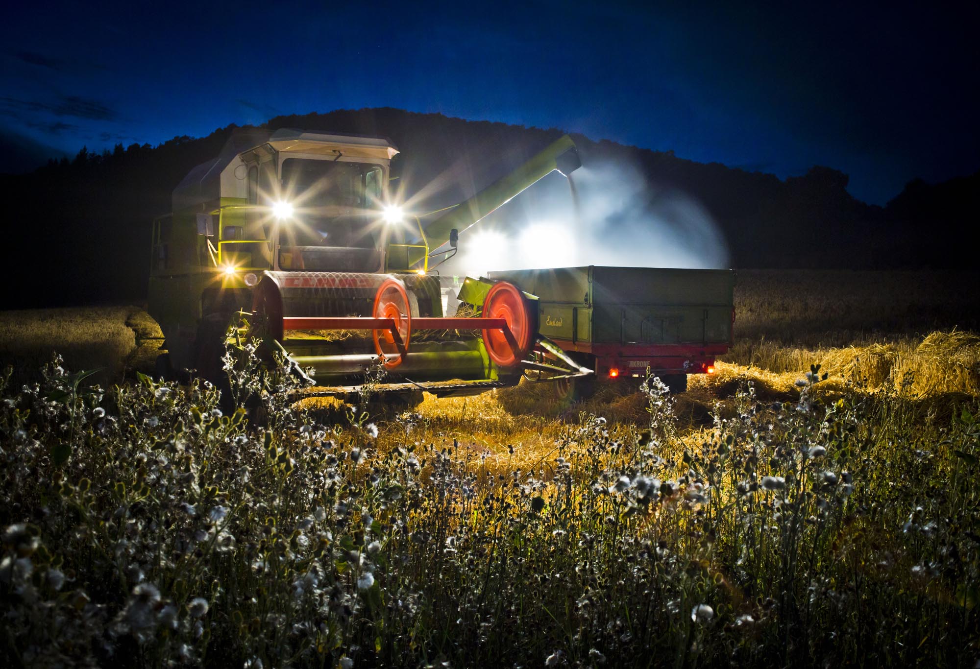 Nighttime Harvest