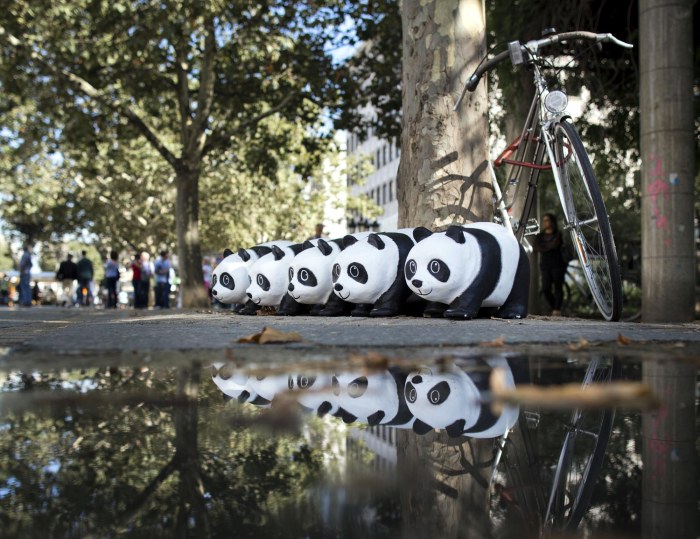 Parking Pandas