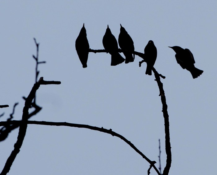 Room for Four or More