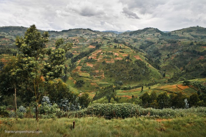 Rwandan Landscape