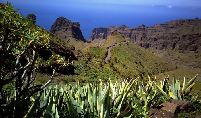 Gomera's West