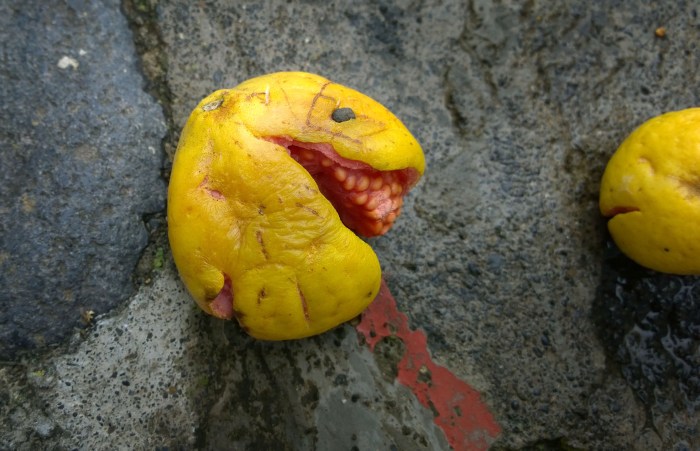 Pacman