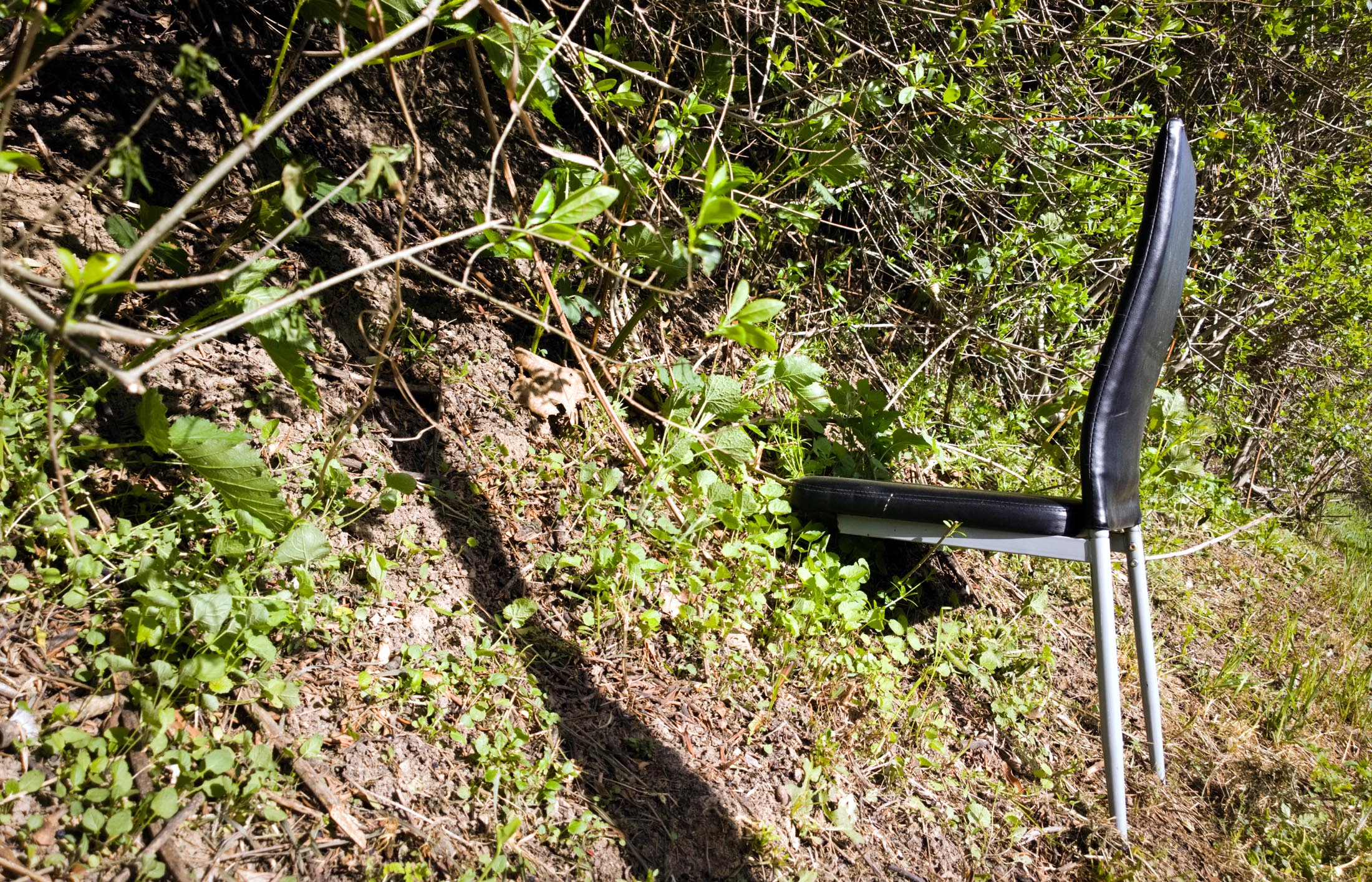 Competition of the Day IV