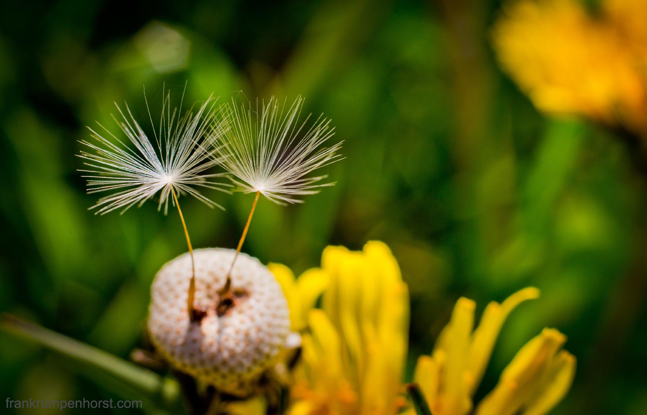 Waiting for a Breeze