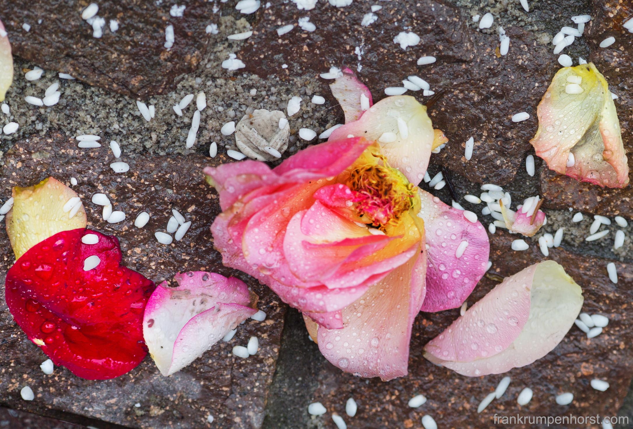 The Remains of the Day