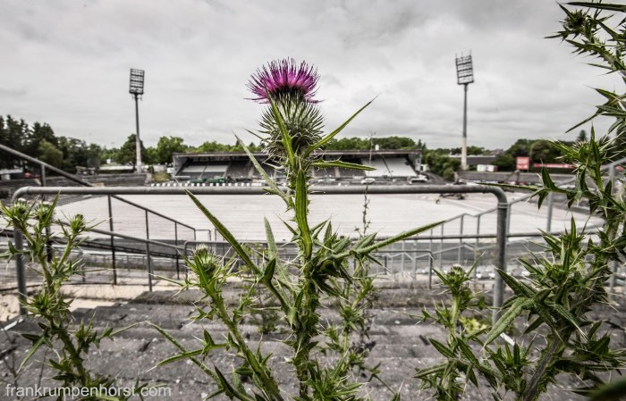 Thistle Stadium