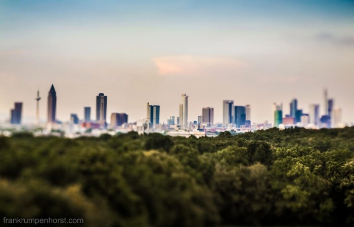 Frankfurter Skyline