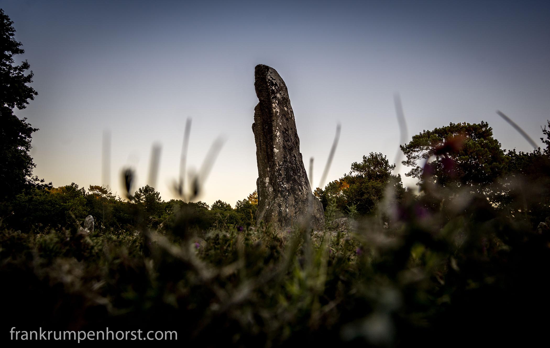 ymenhir1